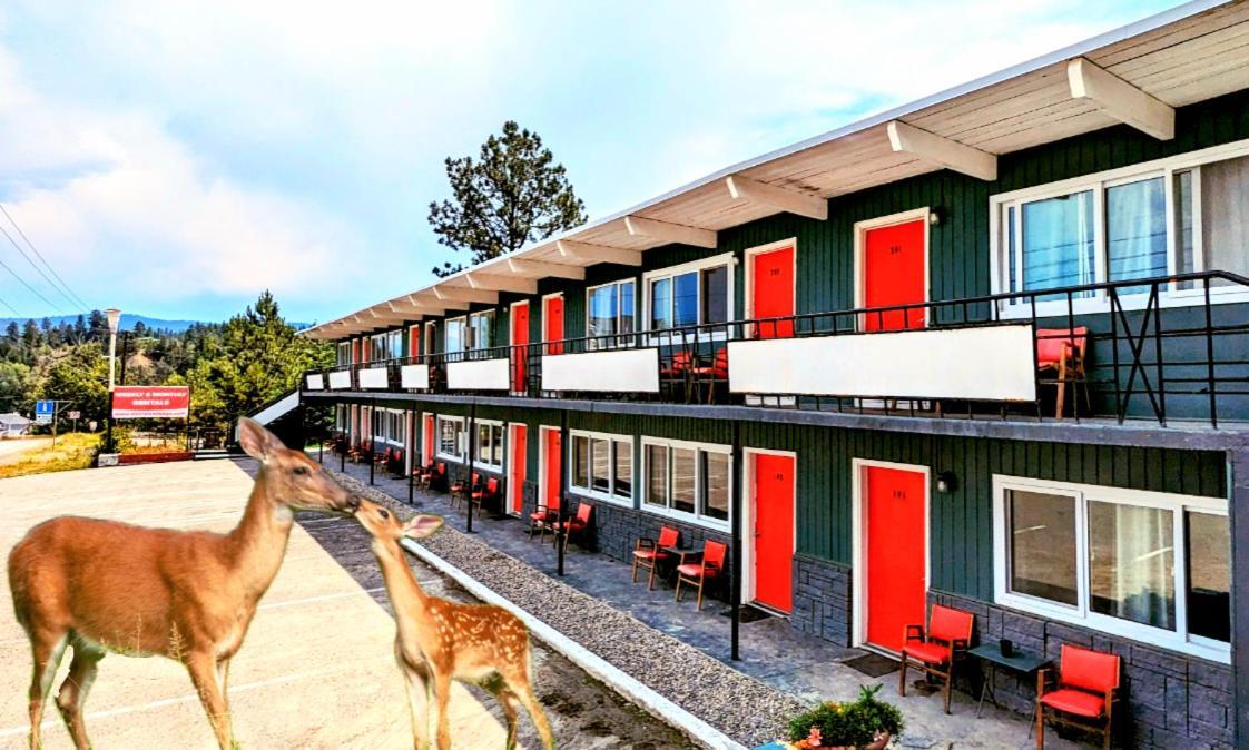 Deerview Lodge & Cabins - Princeton Bc المظهر الخارجي الصورة